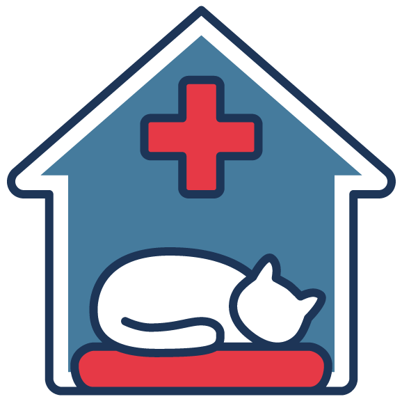 Veterinarian in Hubert, NC AniMed Veterinary Hospital