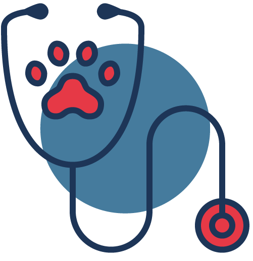 Veterinarian in Hubert, NC AniMed Veterinary Hospital